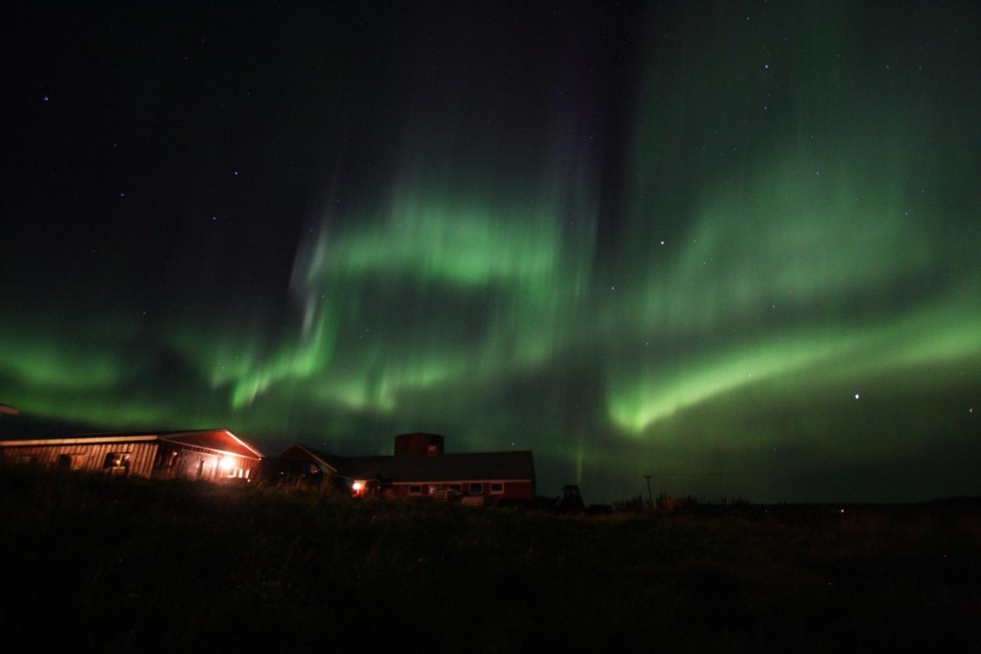 Lambastadir Guesthouse Selfoss Eksteriør billede