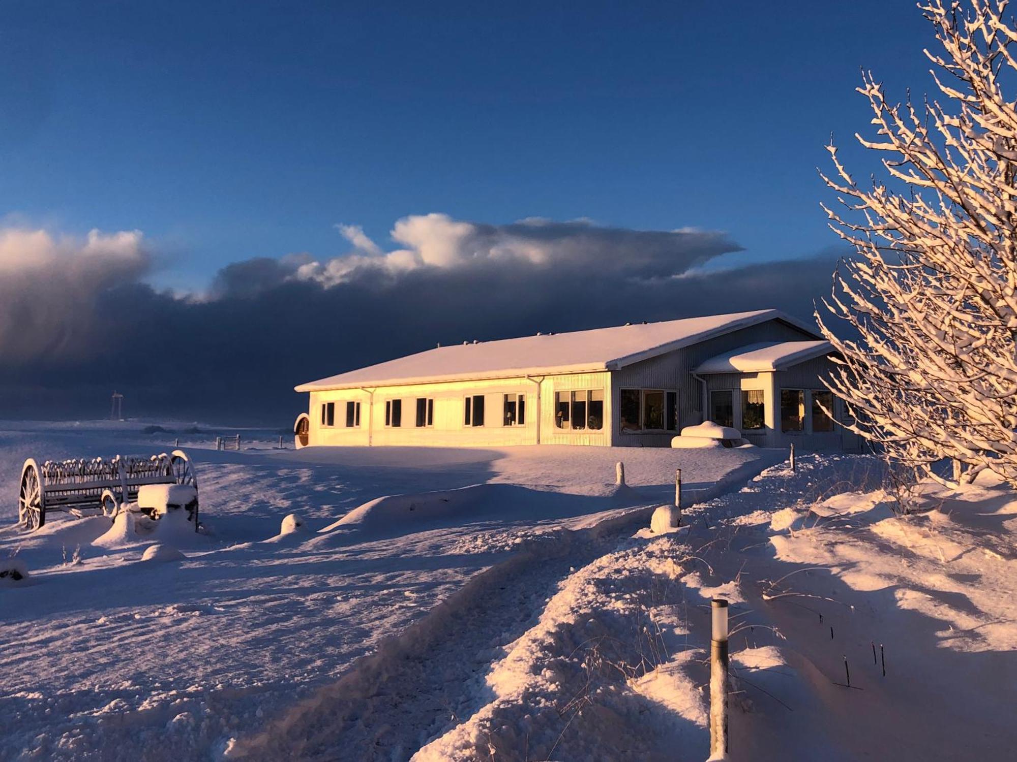 Lambastadir Guesthouse Selfoss Eksteriør billede