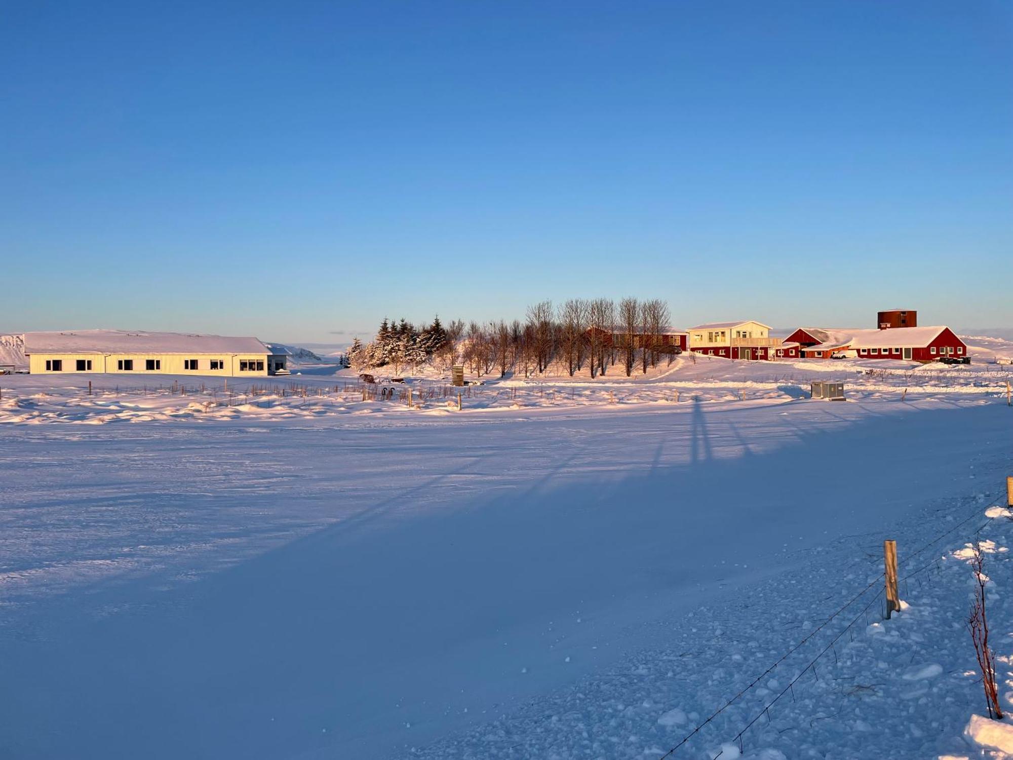 Lambastadir Guesthouse Selfoss Eksteriør billede