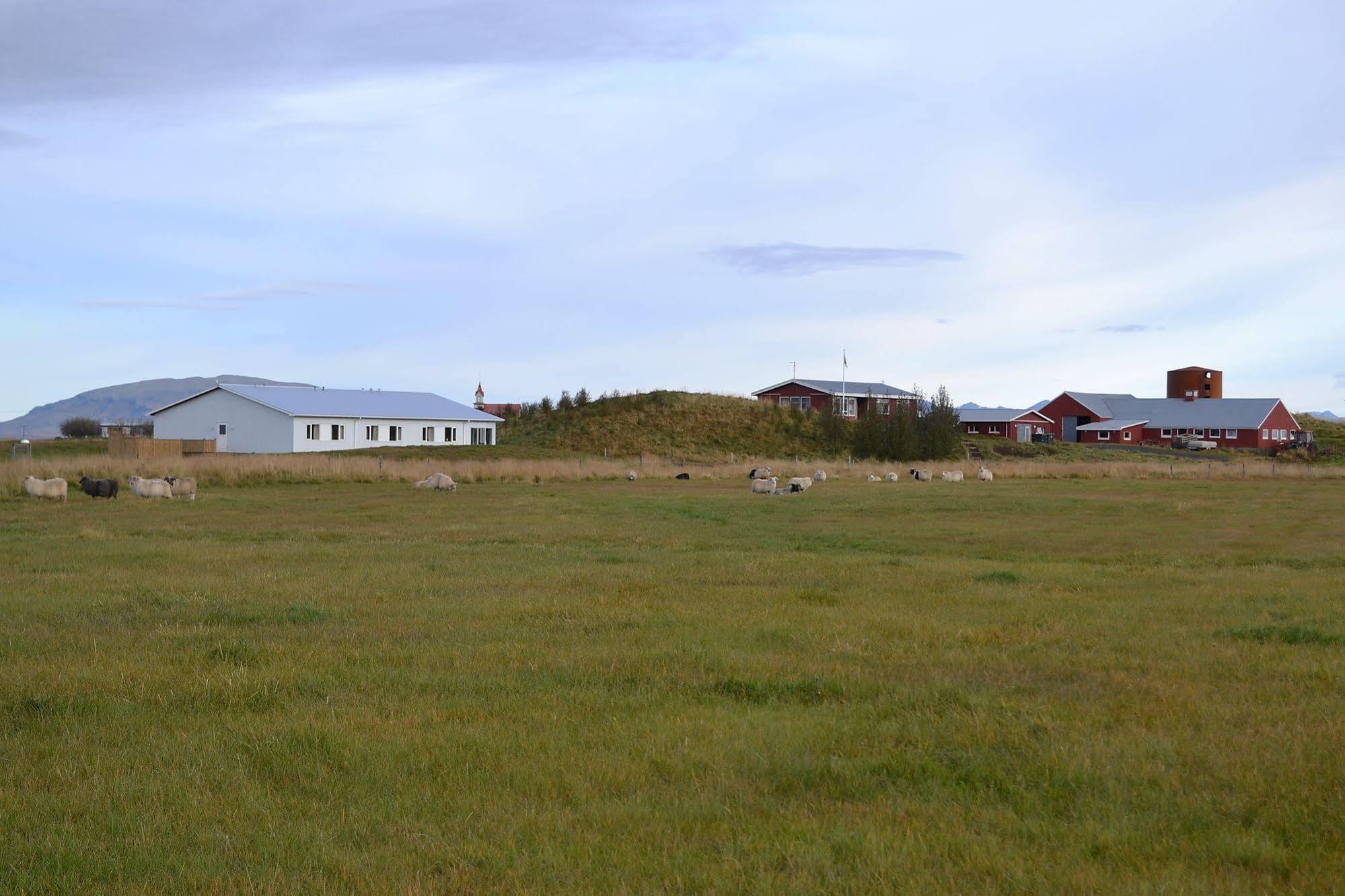 Lambastadir Guesthouse Selfoss Eksteriør billede