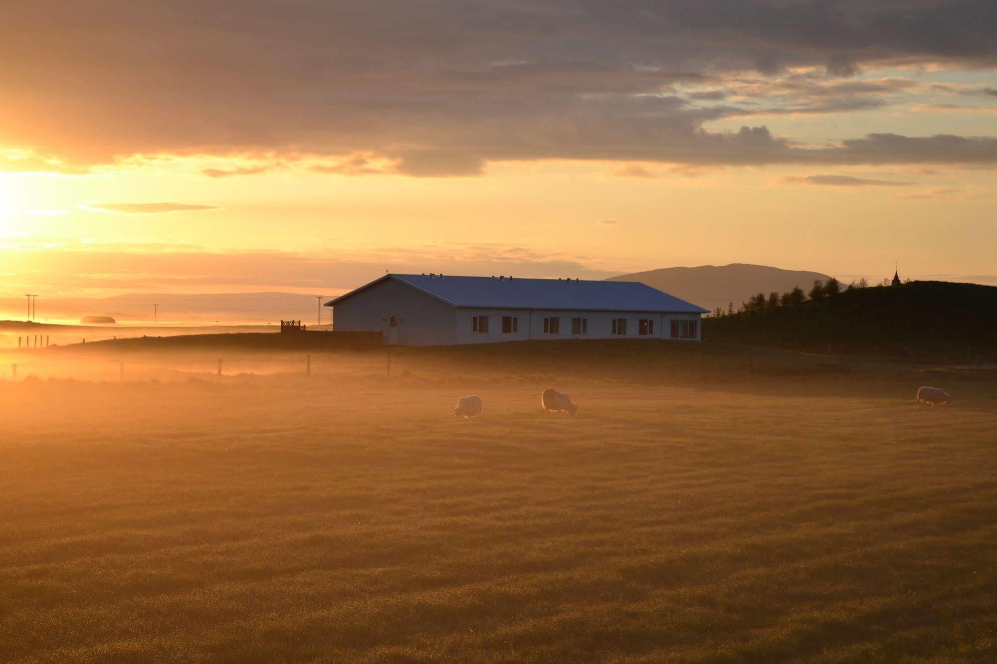 Lambastadir Guesthouse Selfoss Eksteriør billede