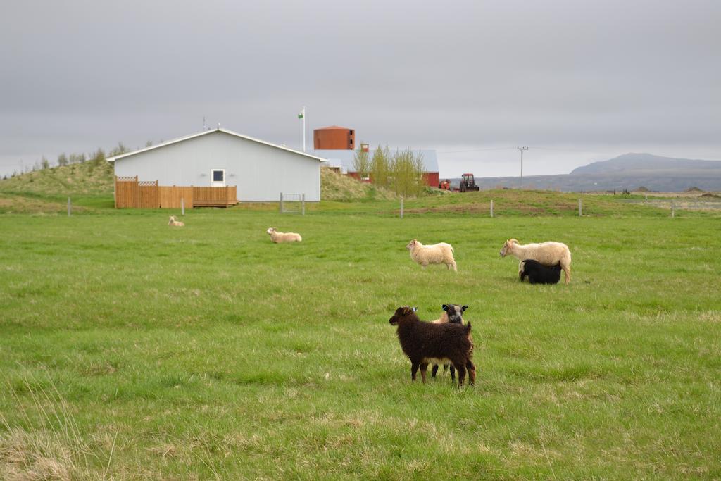 Lambastadir Guesthouse Selfoss Eksteriør billede